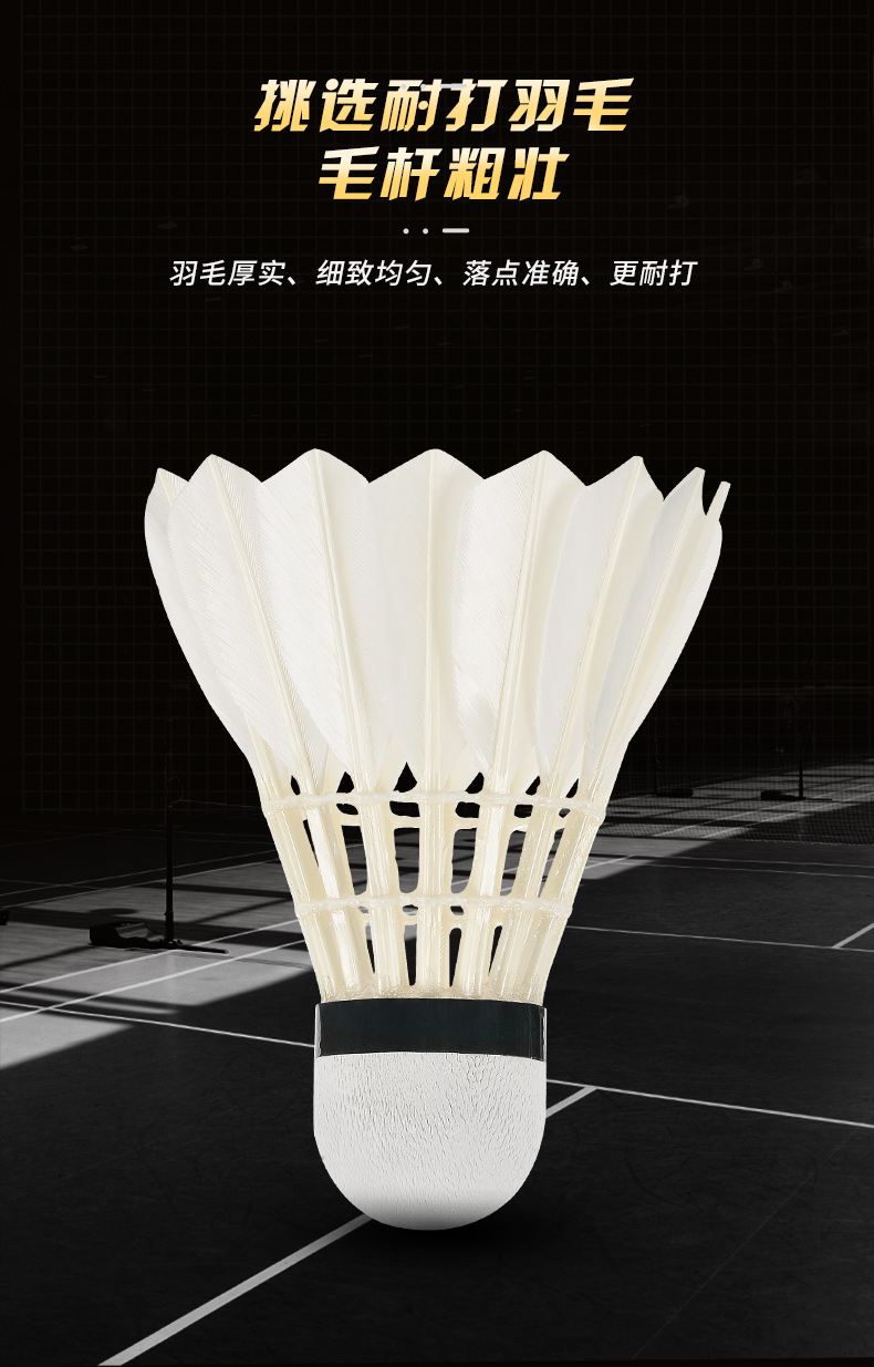 جديد 12 قطعة المهنية الريشة كر - مراجعة Badminton Bwf وسعره