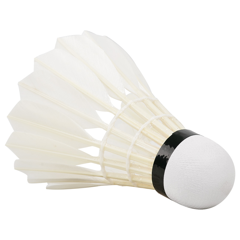 جديد 12 قطعة المهنية الريشة كر - مراجعة Badminton Bwf وسعره