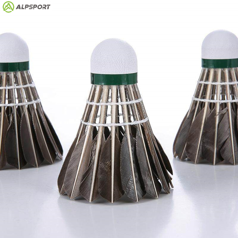 ALP 806 كرات الريشة 12 قطعة كر - مراجعة Badminton Bwf وسعره