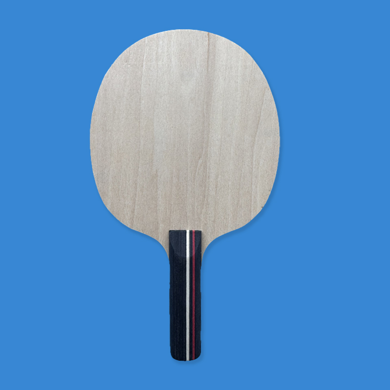 مضرب تنس طاولة صغير من 5 طبقات - مراجعة Badminton Background وسعره