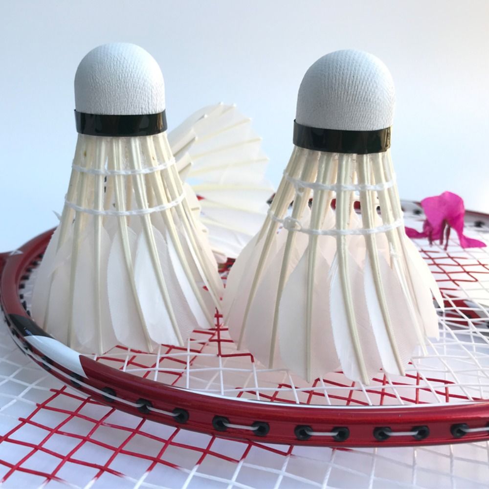 3/6/12 قطعة جديد الأبيض الريشة - مراجعة Badminton Bwf وسعره