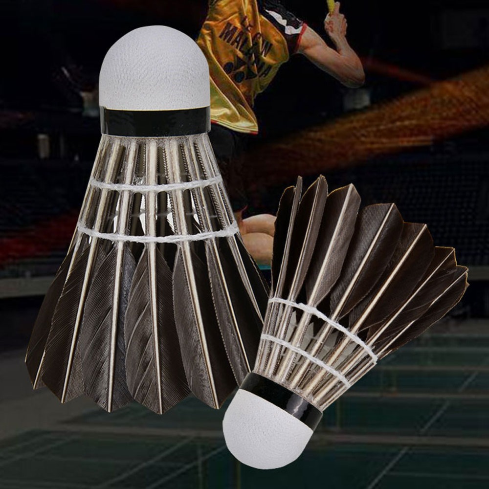 3/6/12 قطعة من ملحقات ريشة الر - مراجعة Badminton Bwf وسعره
